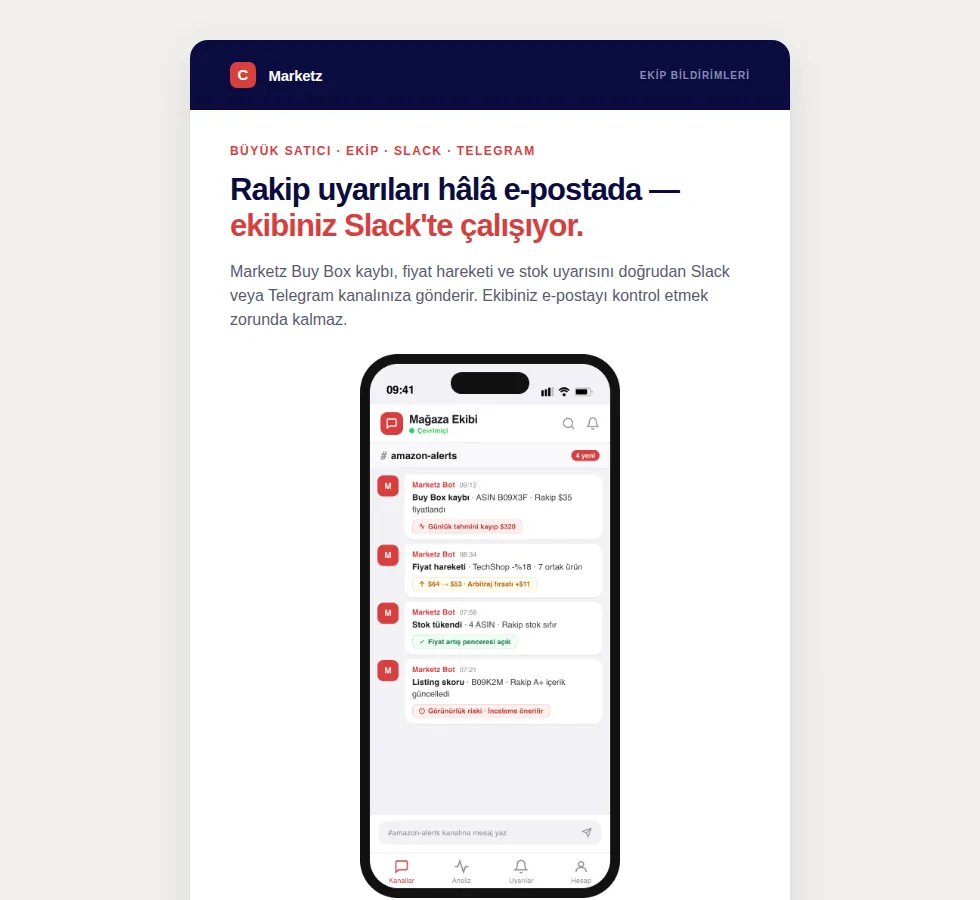 Localz — Group 19: Email preview