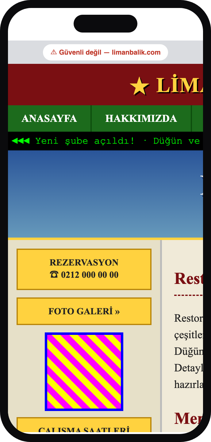 Mevcut site — mobilde bozuk